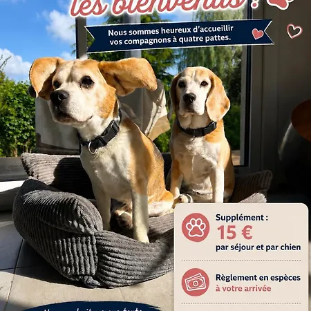 Le 5 - Spacieux 3 Pièces Centre Le Port